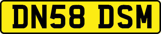 DN58DSM