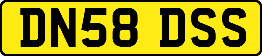 DN58DSS