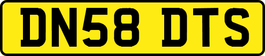 DN58DTS