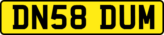 DN58DUM