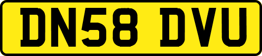 DN58DVU
