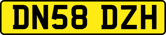 DN58DZH