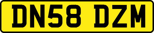 DN58DZM