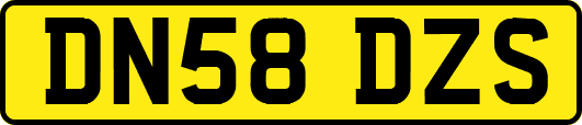 DN58DZS