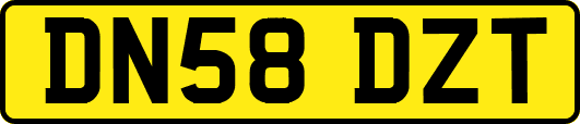 DN58DZT