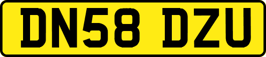 DN58DZU