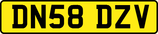 DN58DZV