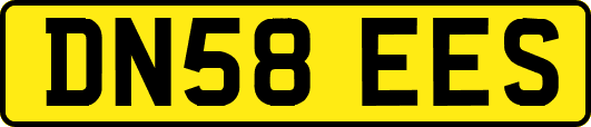 DN58EES
