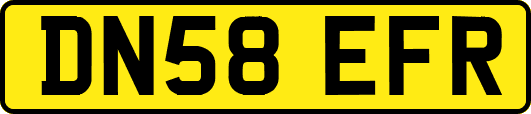 DN58EFR