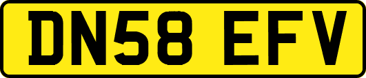DN58EFV