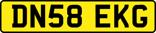 DN58EKG