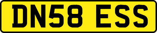 DN58ESS