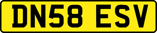 DN58ESV
