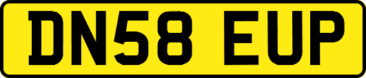 DN58EUP