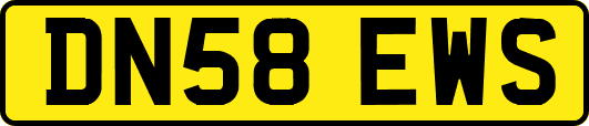 DN58EWS