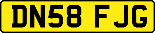 DN58FJG