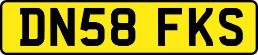 DN58FKS
