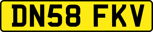 DN58FKV