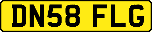 DN58FLG