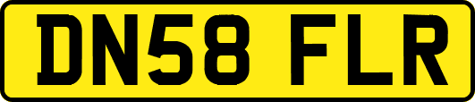 DN58FLR