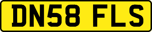 DN58FLS