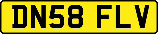 DN58FLV