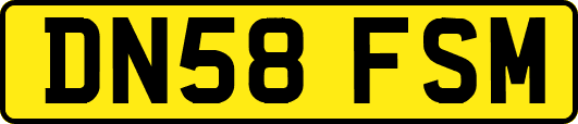 DN58FSM