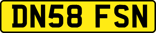 DN58FSN