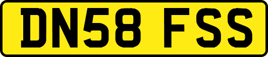 DN58FSS