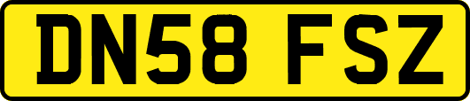 DN58FSZ