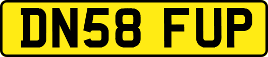 DN58FUP