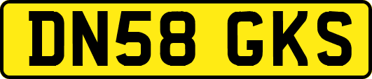 DN58GKS