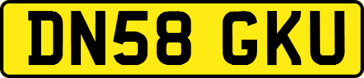 DN58GKU