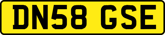 DN58GSE