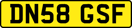 DN58GSF