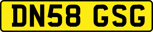 DN58GSG
