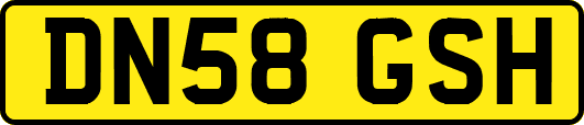 DN58GSH