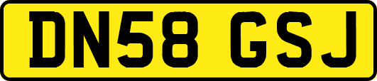 DN58GSJ