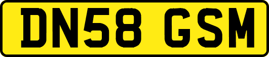 DN58GSM