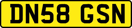 DN58GSN