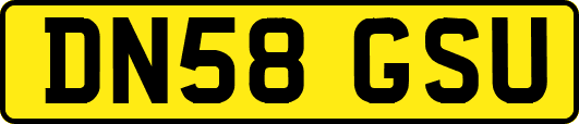 DN58GSU