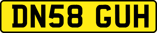 DN58GUH