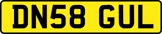 DN58GUL