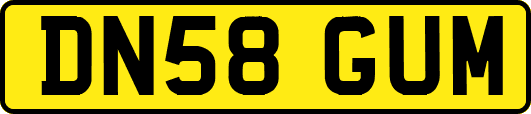 DN58GUM