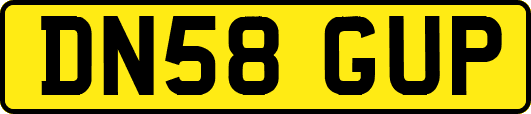 DN58GUP