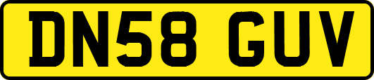 DN58GUV