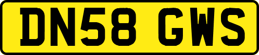 DN58GWS