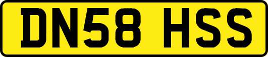 DN58HSS