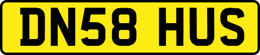 DN58HUS