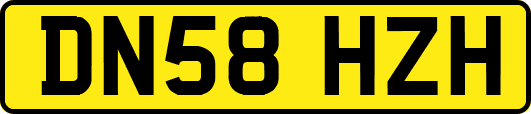 DN58HZH